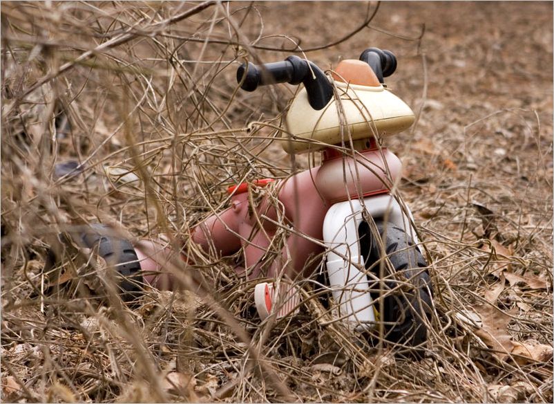 Kudzu Trike DeWane Stone